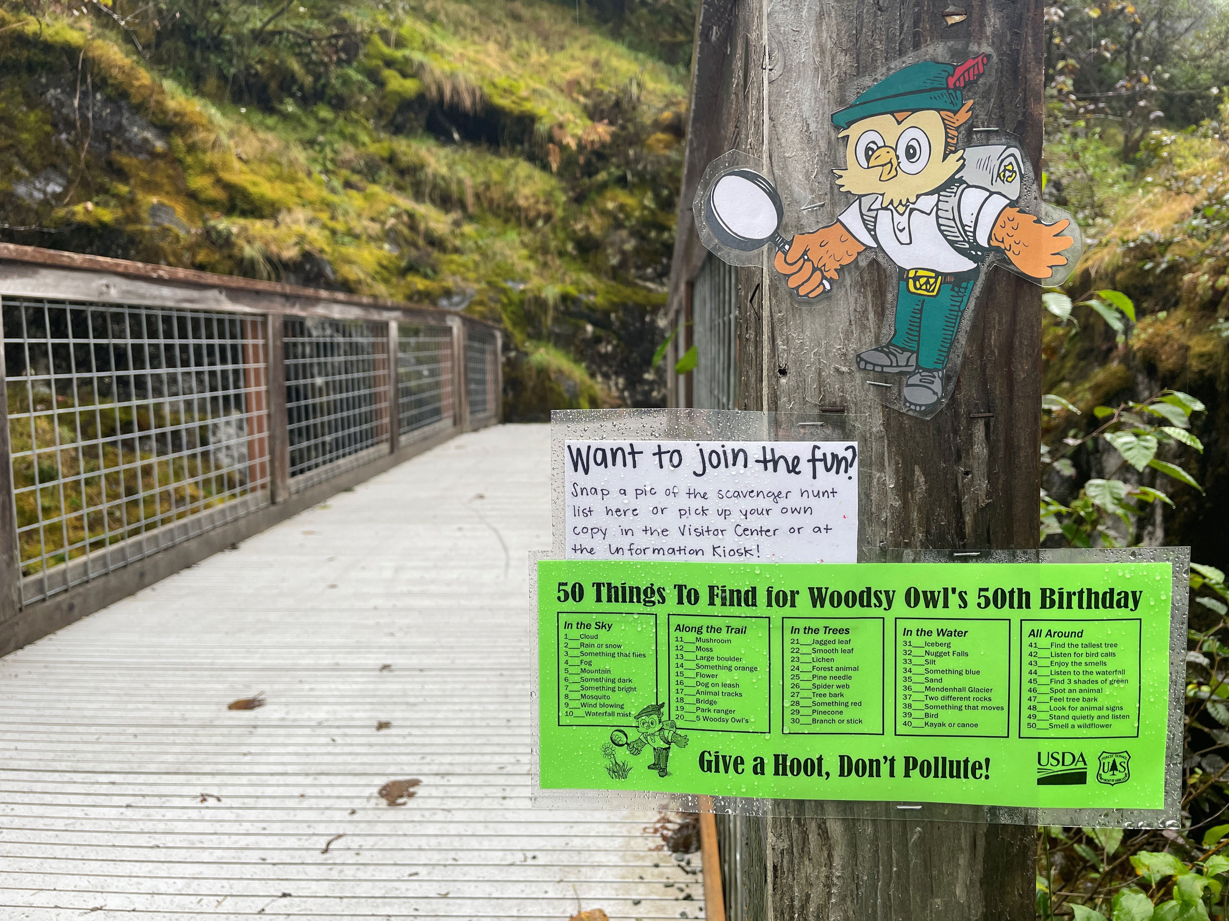 Scavenger hunt sign: 50 things to find for Woodsy Owl's 50th birthday.