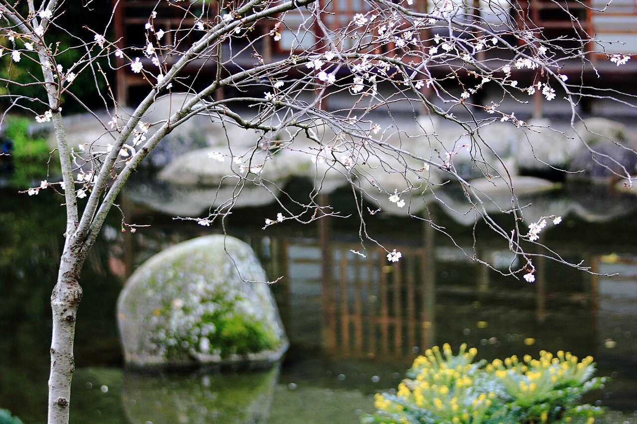 Lac, jardin japonais, Toulouse