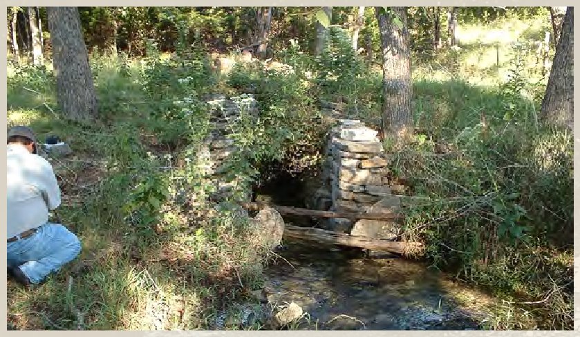 Spring near Leon Creek in the Trinity aquifer outcrop, northern Bexar County, Texas (photograph taken October 5, 2010).