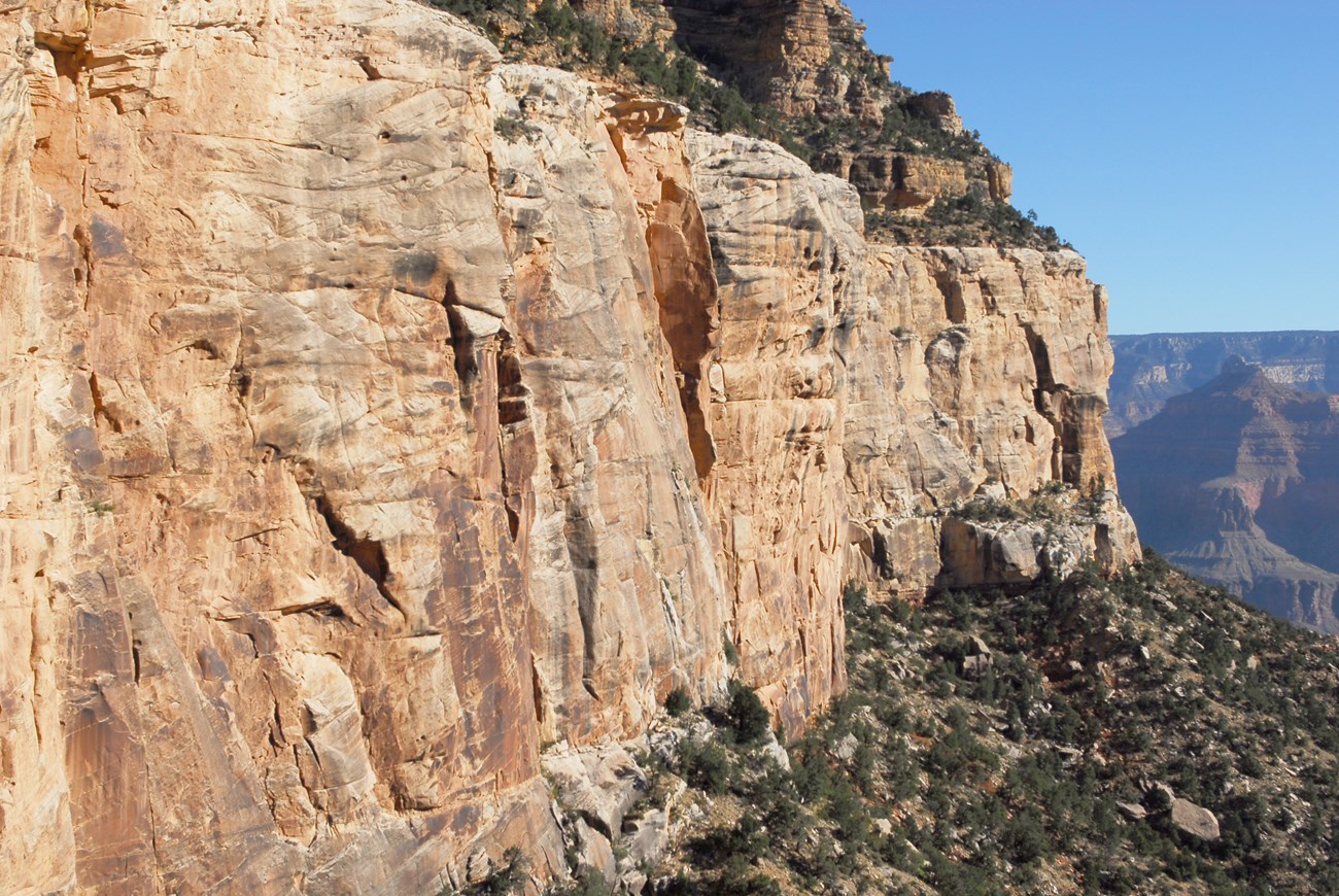 A massive sandstone cliff beside a trail