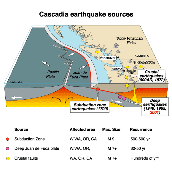 Structure of the Cascadia Subduction Zone