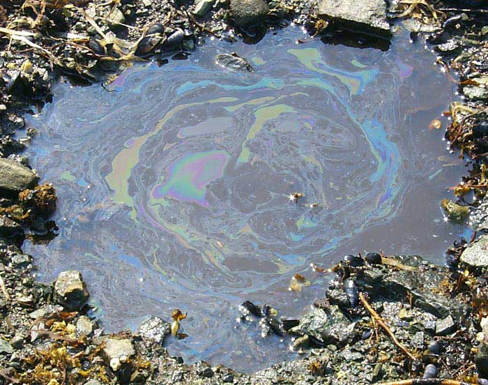 Motor oil and other oil-based chemicals can be recognized by a characteristic rainbow-colored sheen.