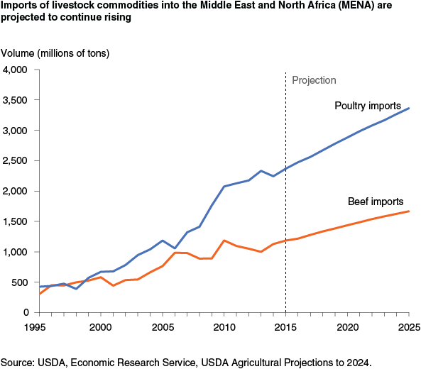 This chart shows: 'Imports of livestock commodities into the Middle East and North Africa (MENA) are projected to continue rising'.