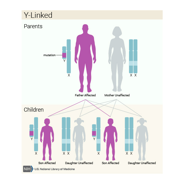 A father and sons are affected with a Y-linked disorder, which is caused by a genetic mutation on the Y chromosome. Females are unaffected.