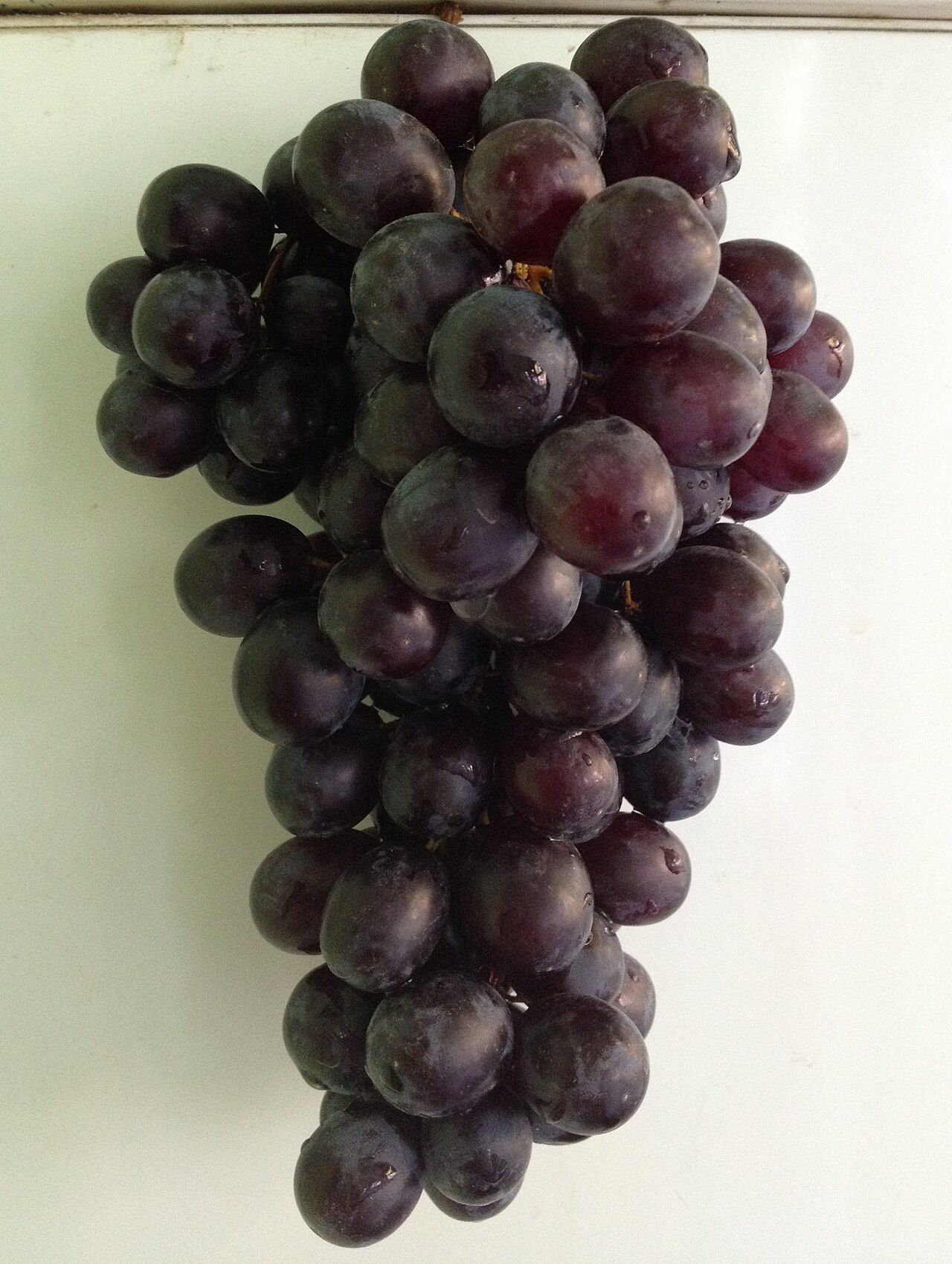 Bunch of grapes (charas)
