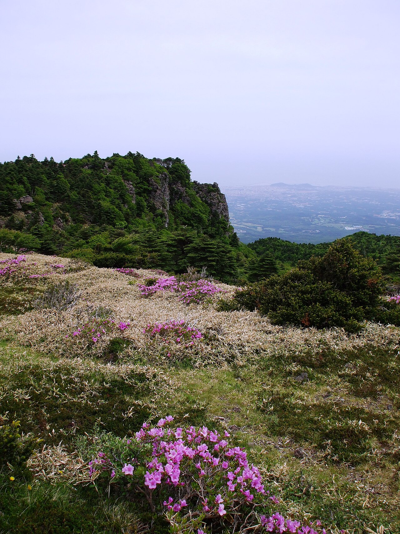 Mt. Halla, Jeju Volcanic Islandহাল্লা পর্বত, চেজু আগ্নেয় দ্বীপ