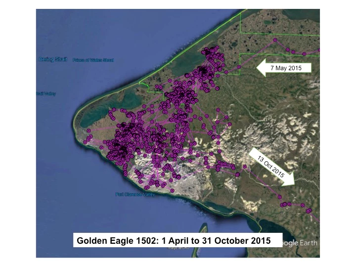Map of Golden Eagle 1502's locations on the Seward Peninsula, April to October 2015, with the preserve boundary in green.