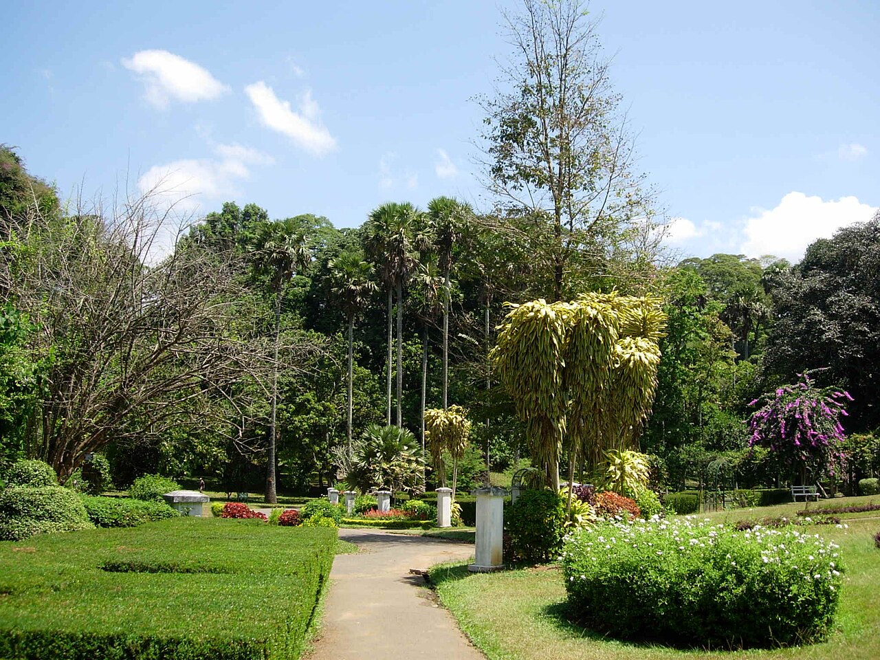 পেরাদেনিয়া বোটানিক্যাল গার্ডেন