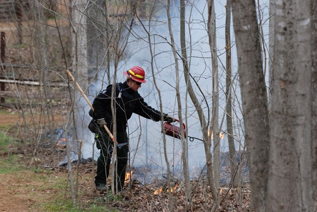 A wildland firefighter in a red helmet uses a drip torch to ignite leaves along a wooded trail.