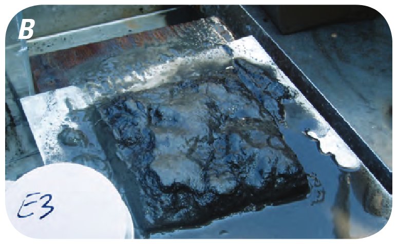 Photographs showing color and texture of surficial sediment in samples from sites E2 (A) and E3 (B), collected on September 20, 2005, offshore from the 17th Street Canal in Lake Po