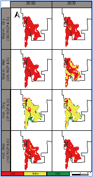 Projected habitat change for Nachlinger catchfly