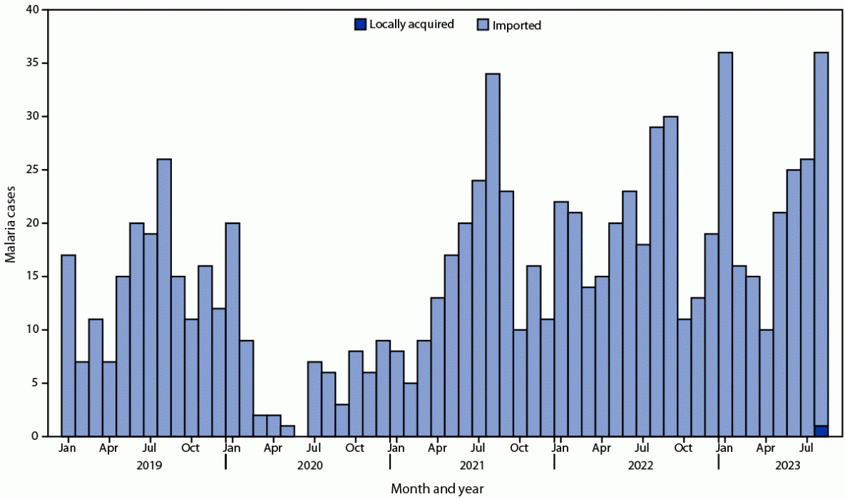 Bar graph of malaria cases in Maryland by month, January 2019 to August 2023.