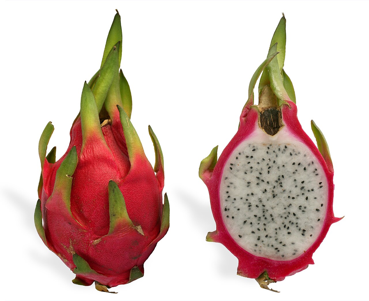 ড্রাগন ফল
