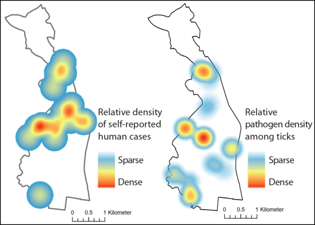 Map of Biltmore Forest showing the density of self-reported tick-borne disease cases and of pathogens in collected ticks.