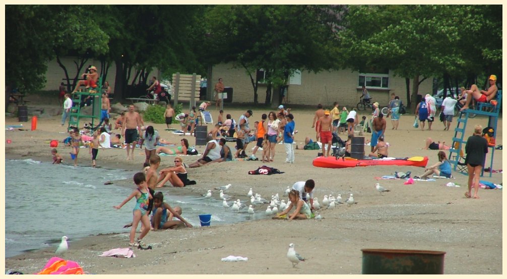 Understanding beach health throughout the Great Lakes-Entering a new era of investigations
