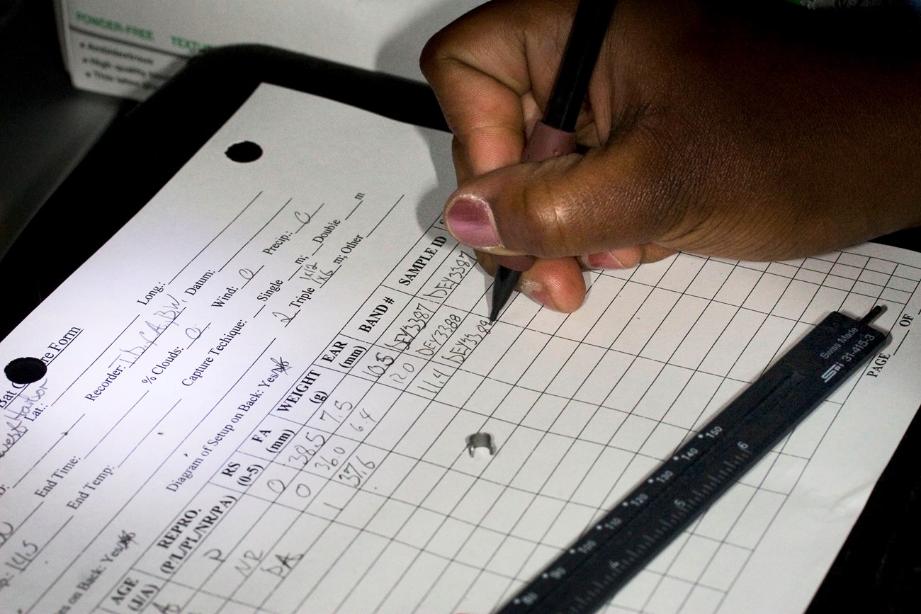A hand filling in a paper data sheet with a pencil