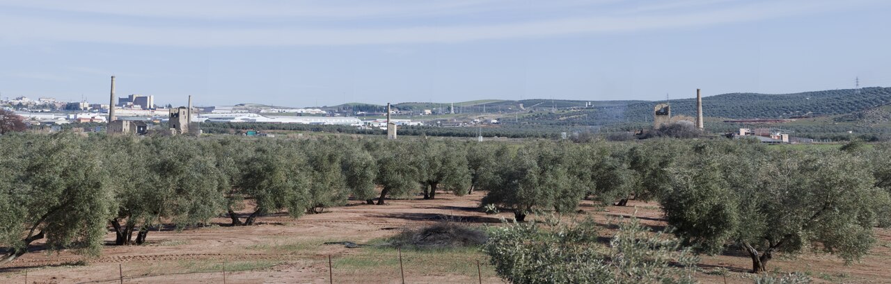 Paisaje minero en torno a Linares. Demarcación de Campiña de Jaén-La Loma