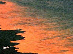 Cuyahoga River on fire in 1969