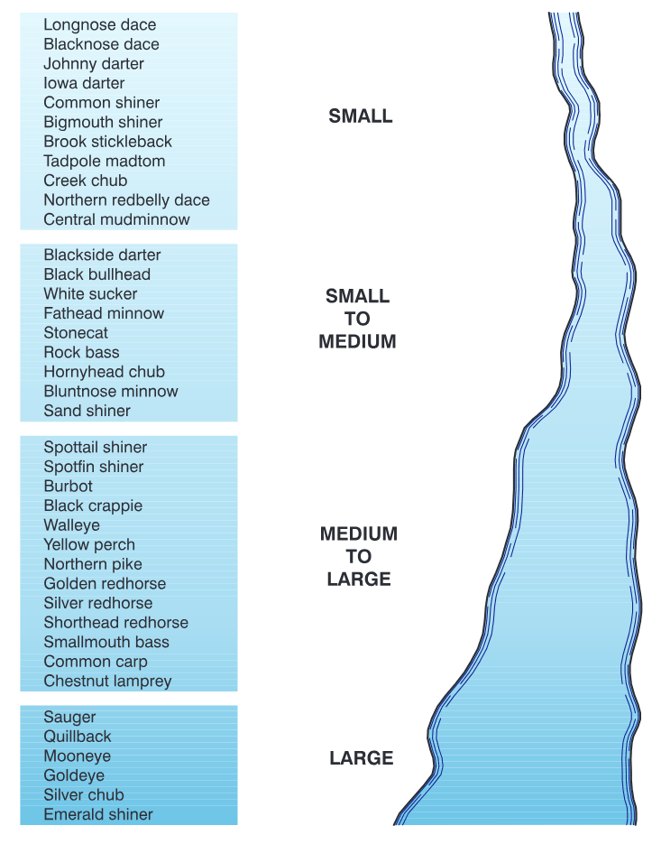 Fish species composition changes with stream size.