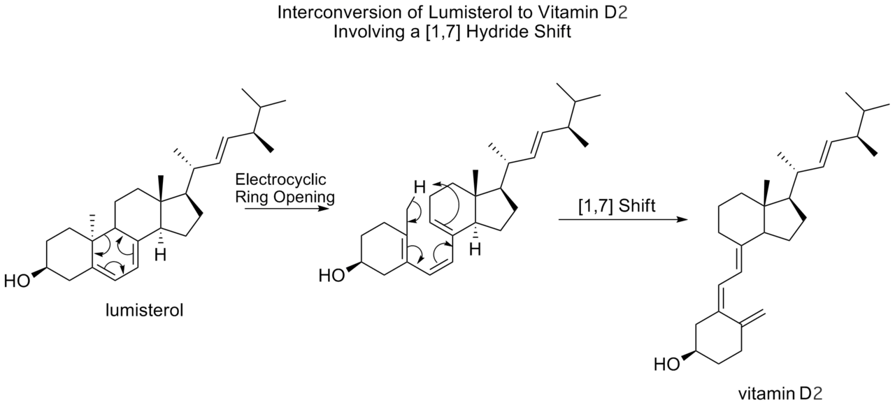 7-Dehydrocholesterol is transformed to vitamin D 3 by a sunlight-induced photochemical reaction
