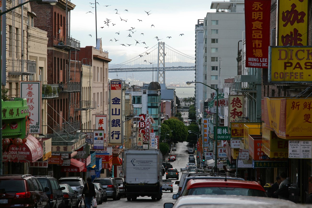 A steep Chinatown street lined with signs in Chinese and English, with the Bay Bridge beyond and birds overhead