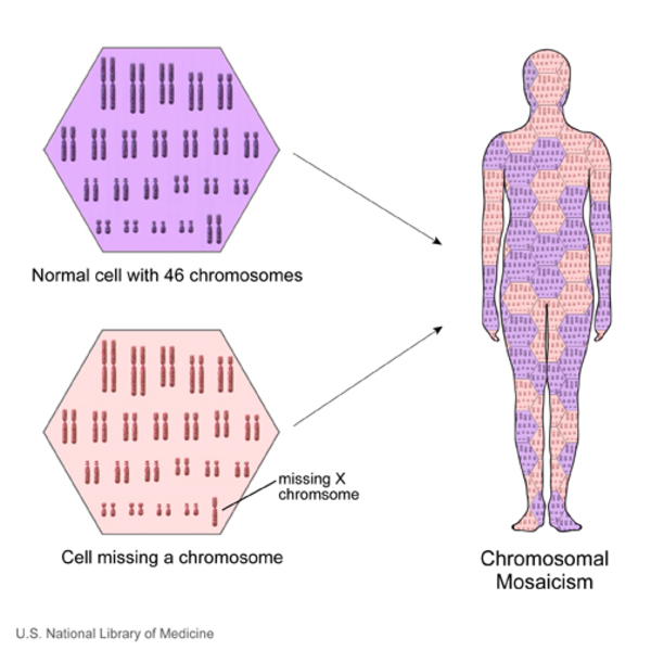 A person with mosaicism has some populations of cells with a chromsomal change and other cells without the change.