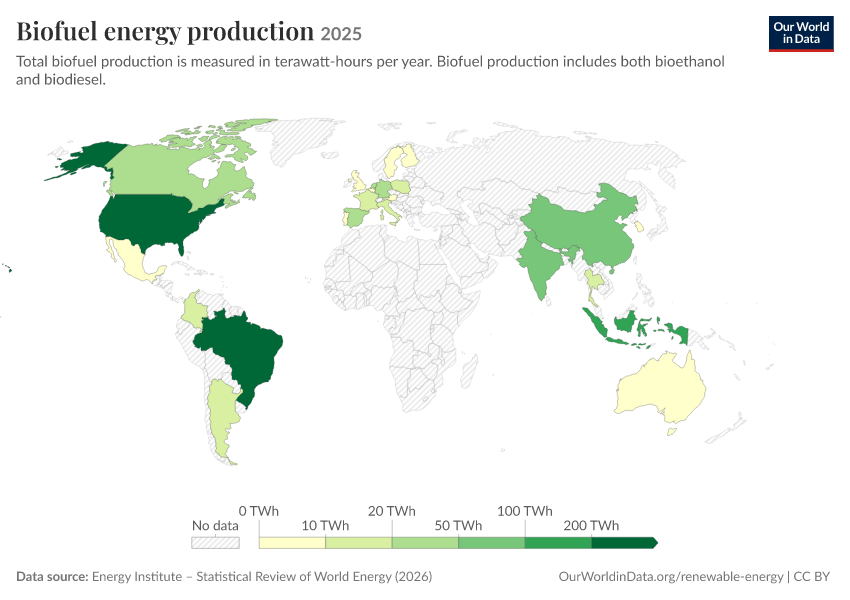 Biofuel energy production