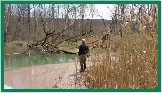 Meeting the challenge: U.S. Geological Survey North Atlantic and Appalachian Region fiscal year 2020 in review