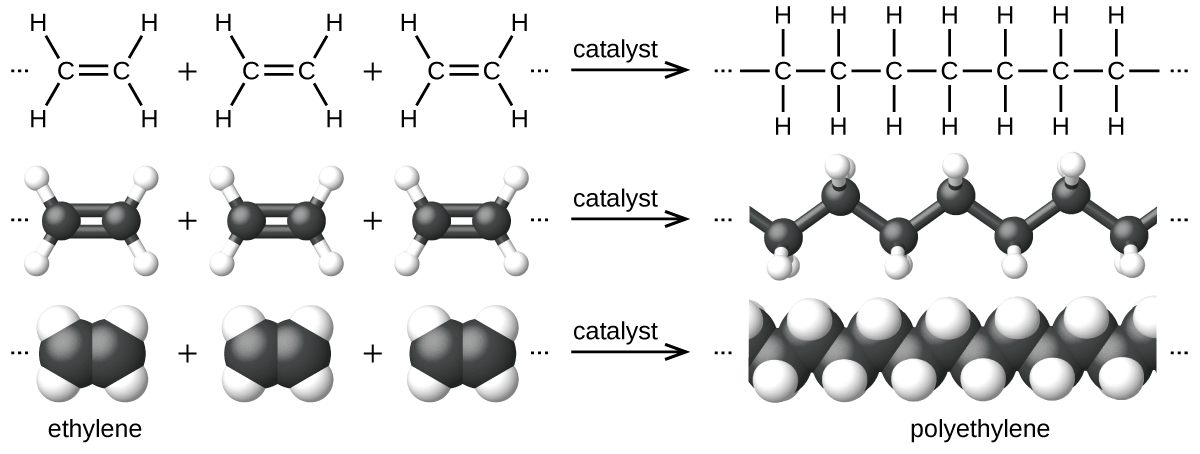 The polymerization of ethylene to polyethylene
