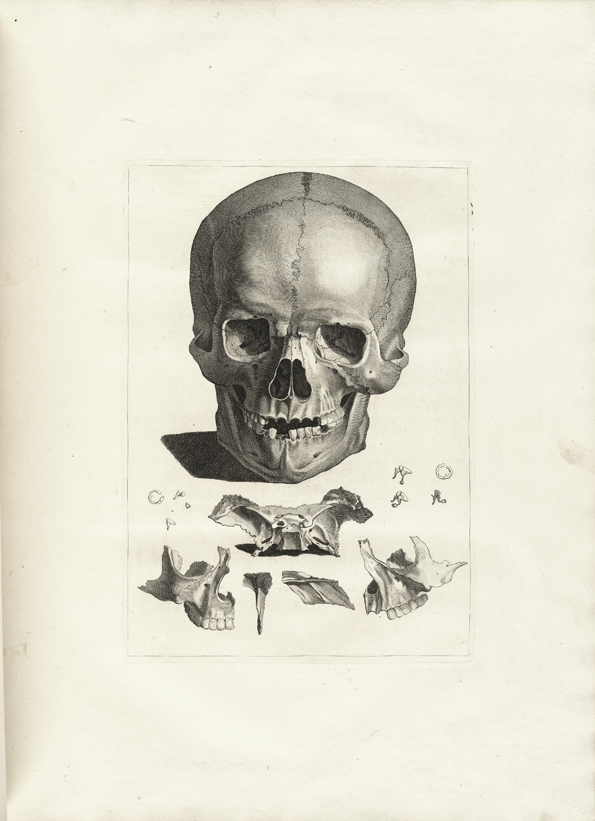 An engraving of a skull from the front with smaller bones below