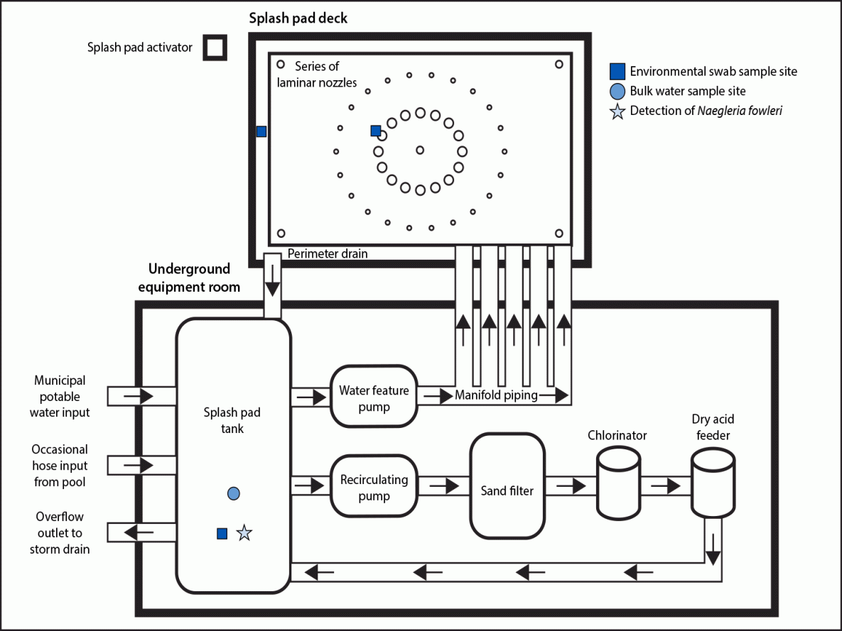 Diagram of the splash pad’s water system: an underground tank, pumps, a sand filter, a chlorinator and an acid feeder feeding a ring of deck nozzles, with the tank marked as where Naegleria fowleri was found.