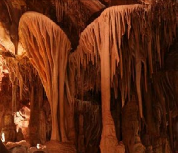 Two cave shields in Lehman Caves.