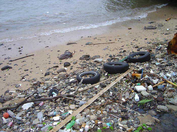 Litter plays a significant role in damaging our marine environment. Discarded plastics, metals and other types of trash not only degrade the aesthetic beauty of an area, they can leach harmful chemicals into the environment. They can also contribute