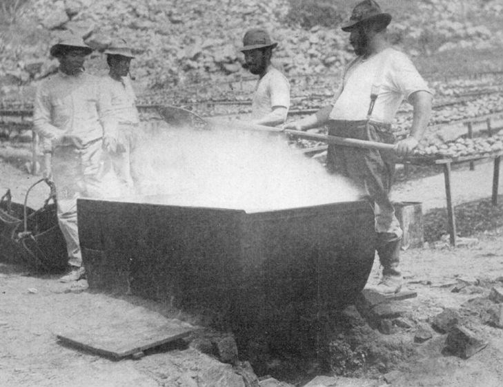 Men boiling abalone in a large vat on a rocky shore