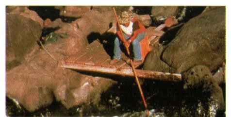 Persistence of the DDT pesticide in the Yakima River basin, Washington