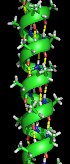 A picture of an alpha helix