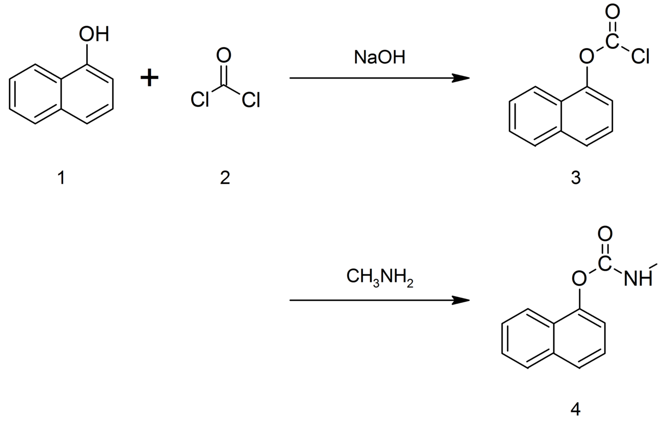Process 2: Alternative synthesis of carbaryl