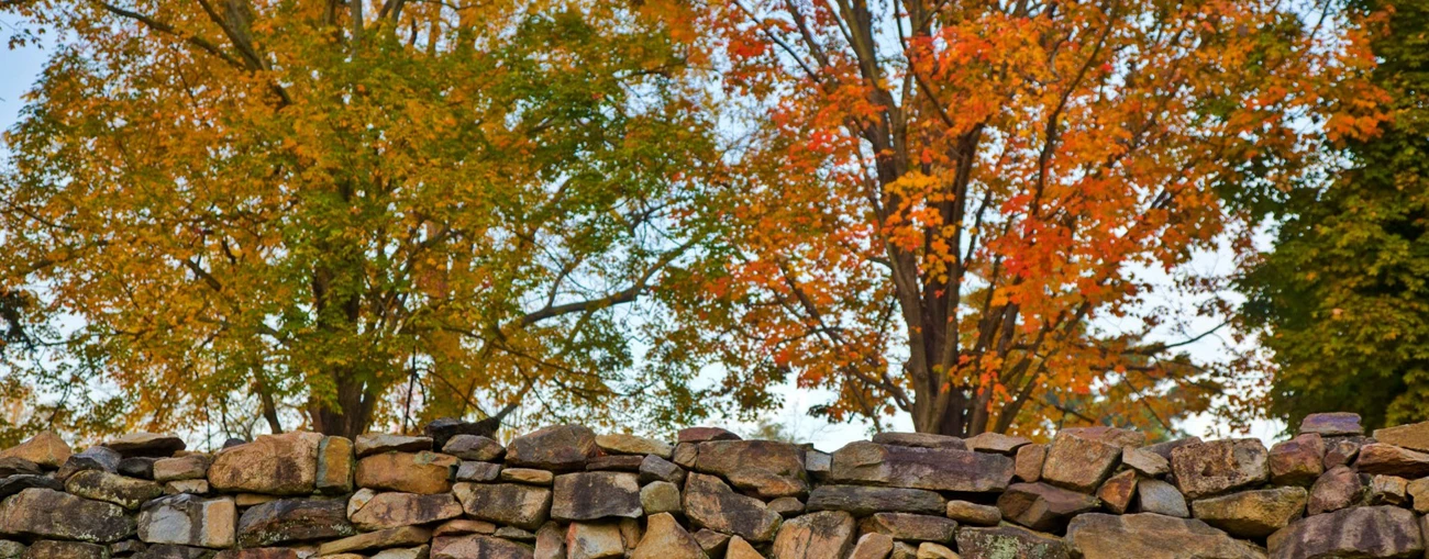 A stone wall with fall foliage.