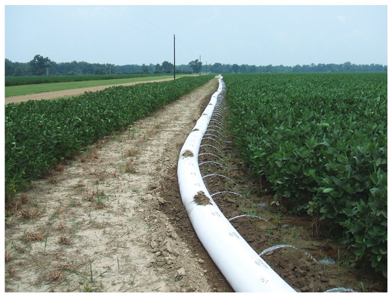 Polypipe used for irrigation of a soybean field.