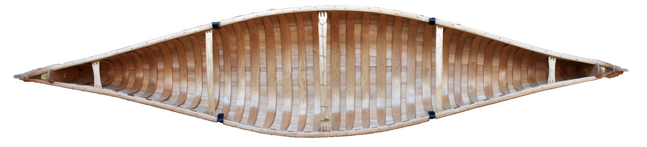 Cedar ribs inside a replica birchbark canoe.