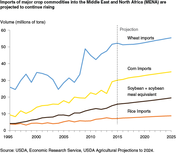 This chart shows: 'Imports of major crop commodities into the Middle East and North Africa (MENA) are projected to continue rising'.