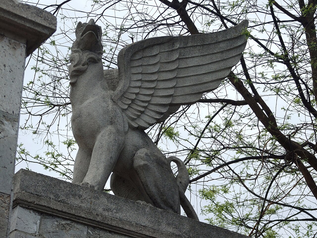Грифон