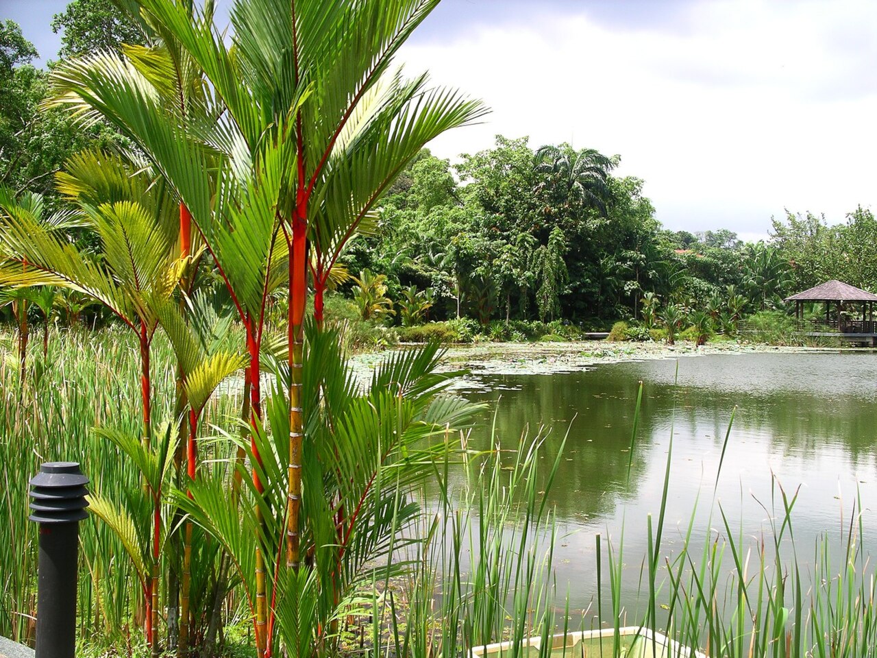 Symphony Lake, Singapore Botanic Gardens