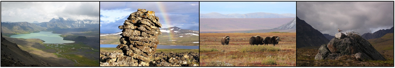 Four photos: a lake in a valley, a rainbow over a stone structure, a muskox herd, and birds on a rock