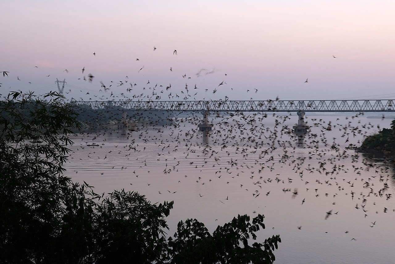 হপা-আন বাদুড় গুহা সূর্যাস্তের সময়