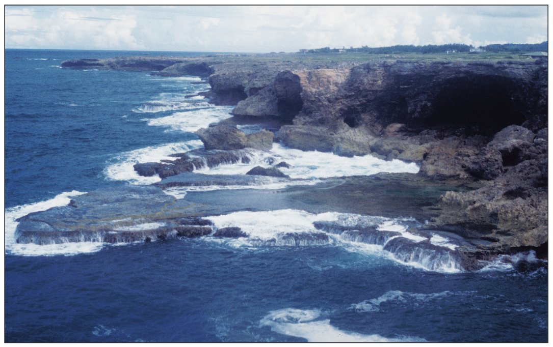 Cliffs of carbonate rock along the east coast of the island of Barbados.