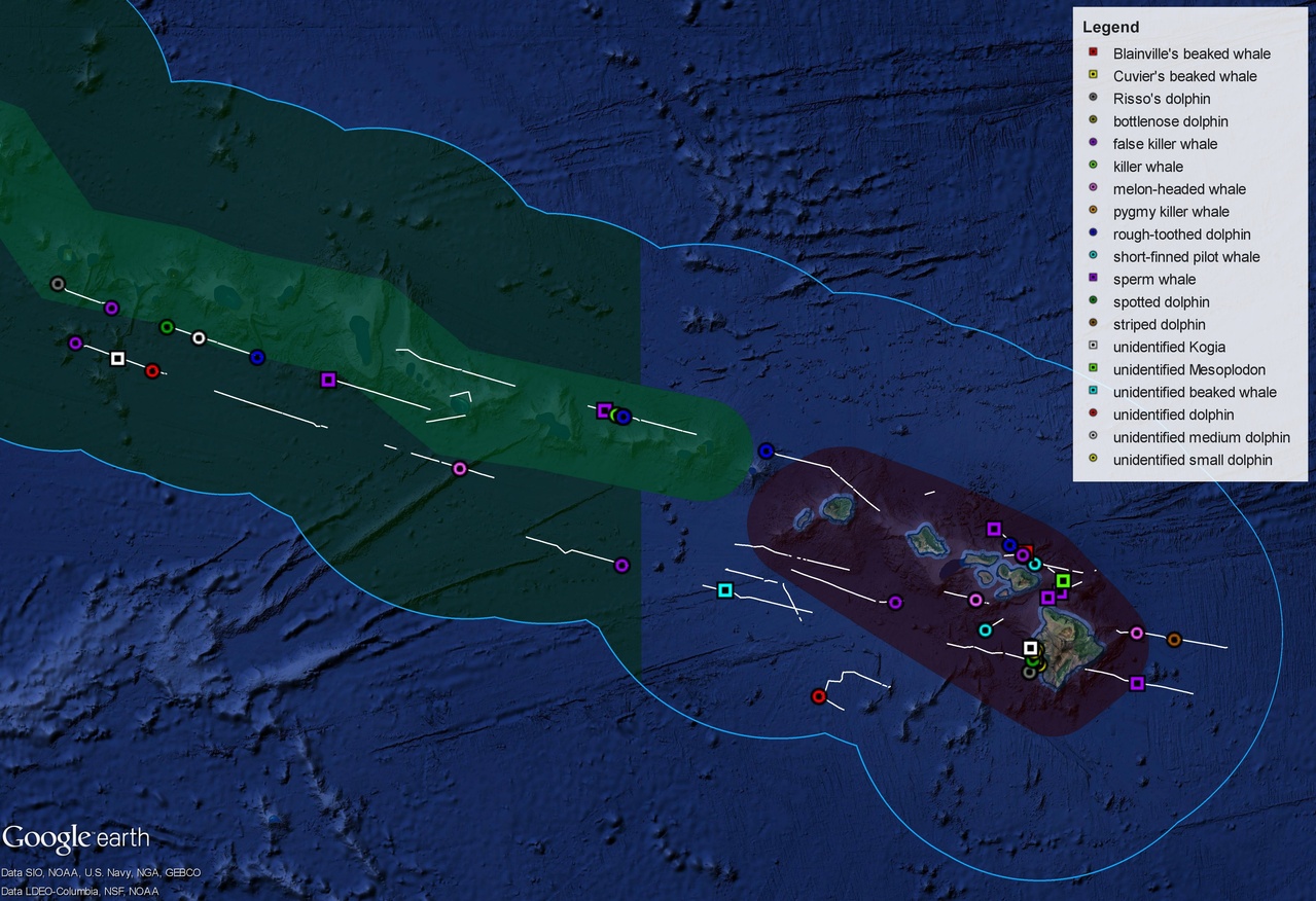 Map of the Hawaiian EEZ showing the leg 1 survey track and sightings