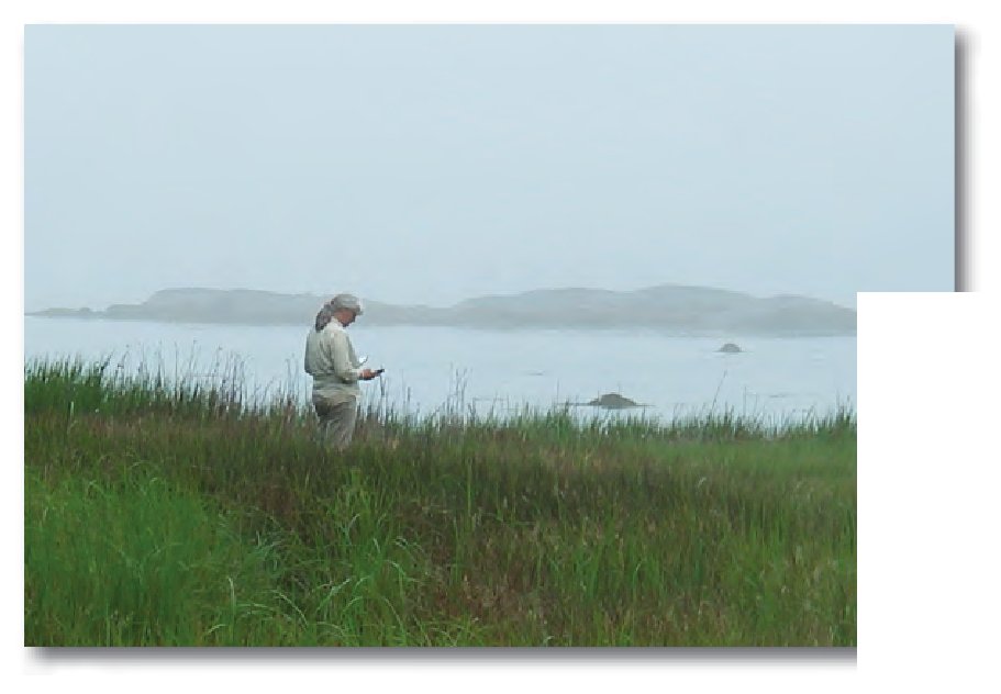 USGS scientists surveying a salt marsh (top) and collecting high-accuracy elevation data with Global Positioning System equipment (bottom). (Photographs by Robert Dudley, U.S. Geol
