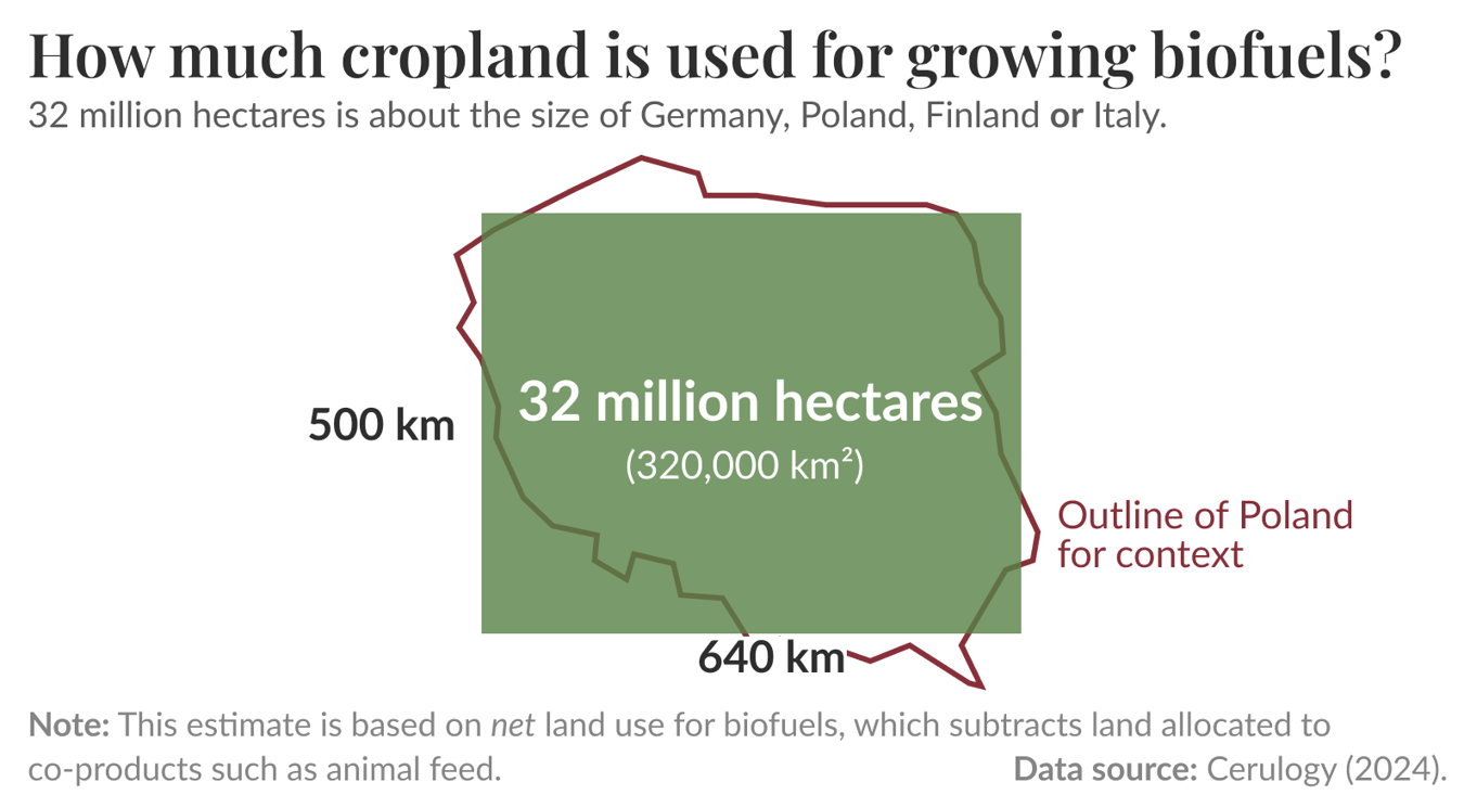 How much cropland is used for growing biofuels? Infographic showing a single large rectangle representing an area labeled "32 million hectares (320,000 km²)" with side markers of 500 km (left) and 640 km (bottom) to indicate scale; caption states 32 million hectares is about the size of Germany, Poland, Finland or Italy. Note: This estimate is based on net land use for biofuels, which subtracts land allocated to co-products such as animal feed. Data source: Cerulogy (2024).