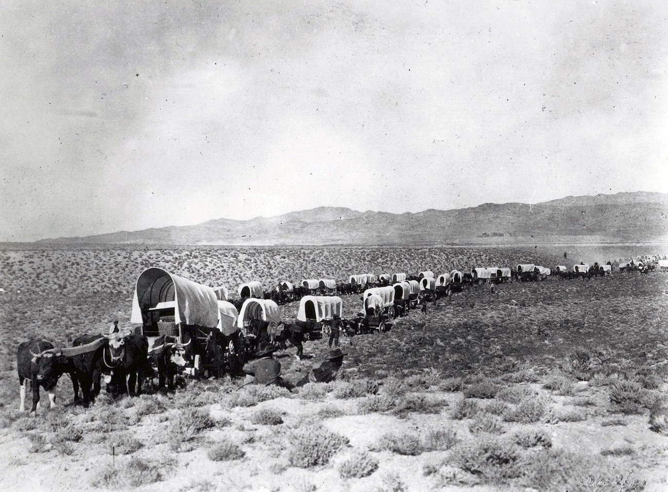 Two long lines of covered wagons crossing desert toward distant mountains.